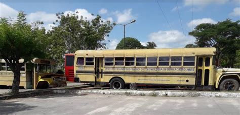 Escasez De Transporte Efectivo Y Combustible Afecta El Traslado De