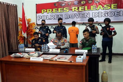 Polres Boven Digoel Amankan Tersangka Pembawa Ganja Dari Png Sinar