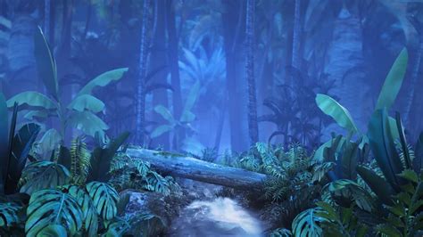 Night Tropical Jungle With Brook - Stock Motion Graphics | Motion Array