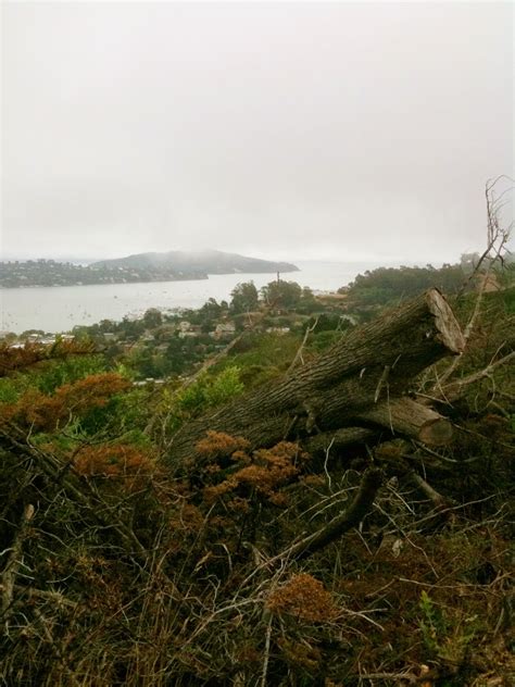 GOLDEN DREAMLAND: Favorite Hikes: The Alta Trail in the Headlands