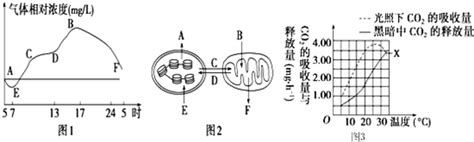 下列关于遗传信息表达的叙述正确的是 A真核细胞的转录和翻译场所相同bdna聚合酶识别基因启动子并与之结合然后开始转录c核糖体