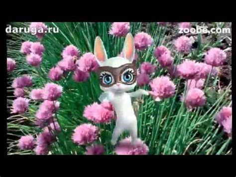 Добрым людям, Добрый вечер... Прикольное пожелание доброго вечера - YouTube