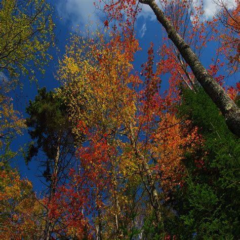 Autumn Skies New England Today