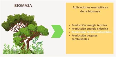 Biocombustibles Qu Son C Mo Se Obtiene Y Ventajas Ovacen