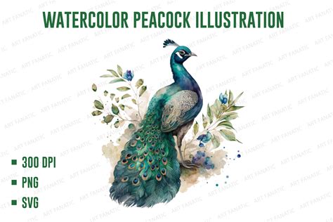 Peacock Watercolor Illustration Png Graphic By Art Fanatic · Creative