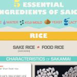 SAKETALK - Learn Japanese Sake Visually.