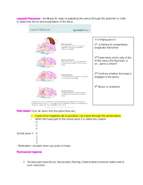 Exam 2 Study Guidepart 2 Leopolds Maneuvers Are 4 Specific Steps