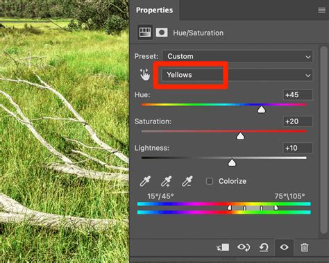 2 Quick And Easy Ways To Make Grass Greener In Photoshop