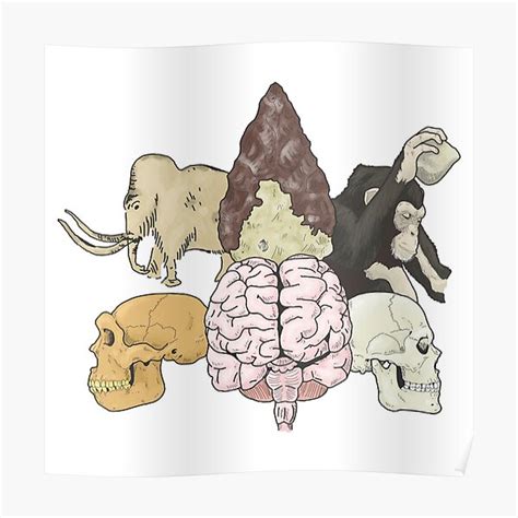 "Evolution of human cognition" Poster for Sale by WSnyder | Redbubble