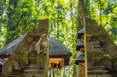 Instagrammable Places In Bali To Spice Up Your Ig Feed