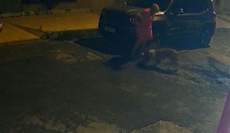 Pitbull Ataca Mulher E Mata Cachorro Na Zona Sul De Aracaju Sergipe G