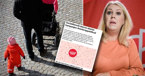 Socialdemokraterna Har Delvis Rätt Om Sverigedemokraterna Och