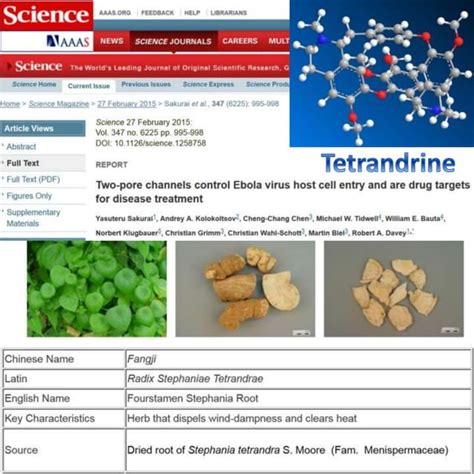 Ebola Treatment Potential Of Tetrandrine Pdf