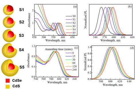 Sketch Of Cdsecds Qds With Different Cds Shell Thickness As Well As Download Scientific