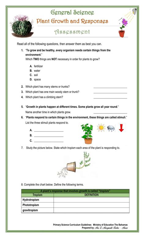 Plant Growth And Responses Exercise Live Worksheets Worksheets Library