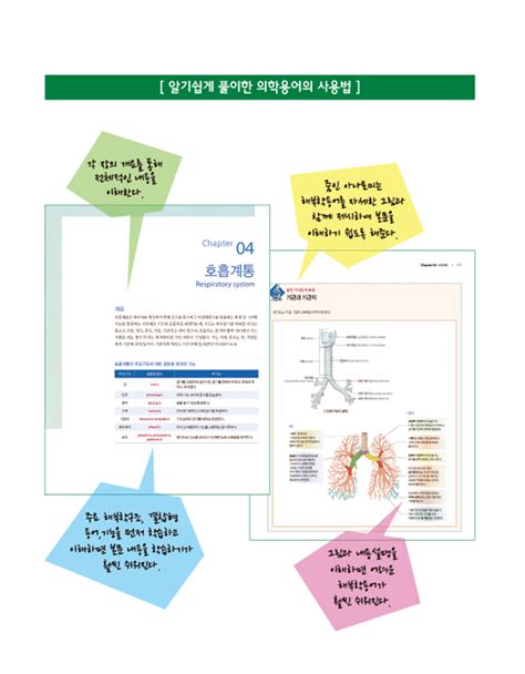 알라딘 미리보기 알기쉽게 풀이한 의학용어