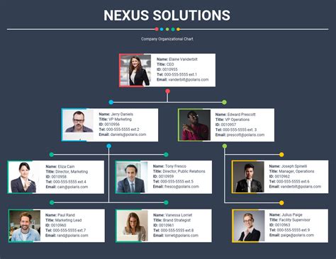 Management Plan Organisational Structure Law On Business Org