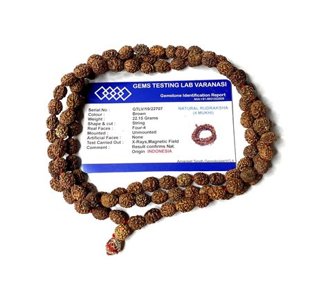 Mahant Ji Natural Original Indonesian Mukhi Rudraksha