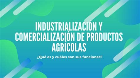 Importancia De Los Polimeros En La Agricultura Actualizado Marzo 2025