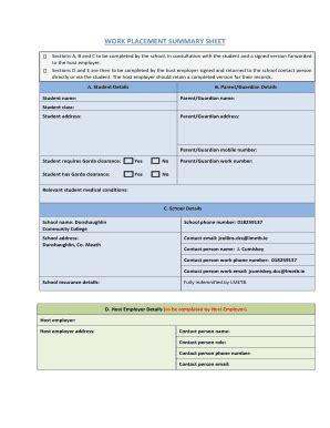 Fillable Online WORK PLACEMENT SUMMARY SHEET Dunshaughlincc Ie Fax