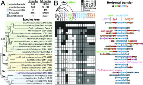 Assembly And Integration Of Horizontally Transferred Fpra Asb Fat In