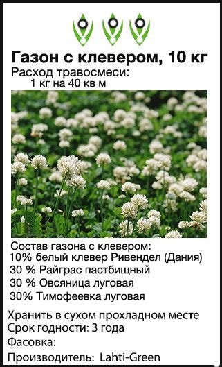 Недорогой газон с белым клевером
