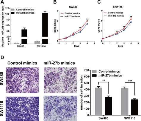 Mir 27b Directly Targets Rab3d To Inhibit The Malignant Phenotype In