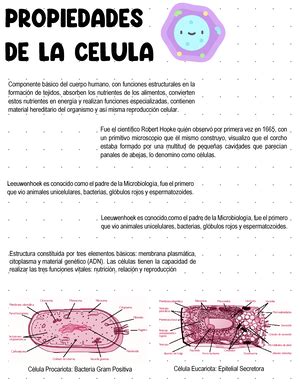 Apunt Tinci N De Pas Y Fen Menos Pticos Tecnica De Pas Tincion De