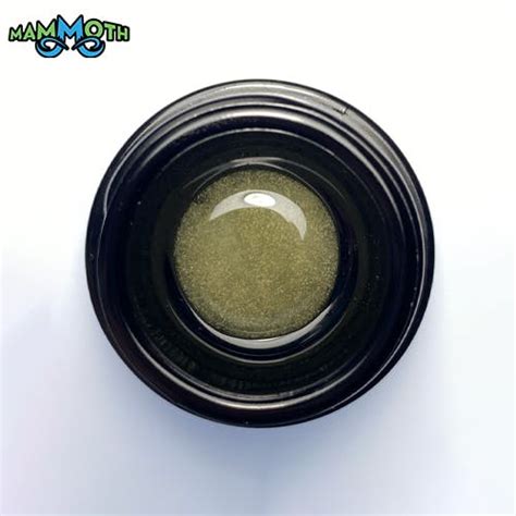 Scooby Snacks Live Rosin Coin Mammoth Inc