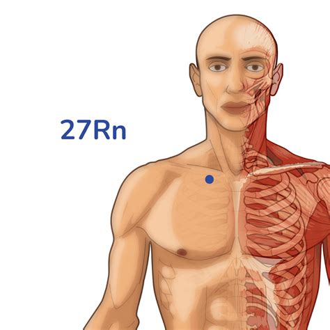 Méridien du Rein Trajet et points d acupuncture