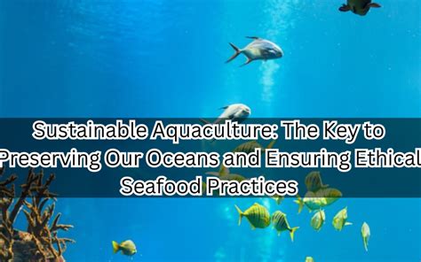 Sustainable Aquaculture The Key To Preserving Our Oceans