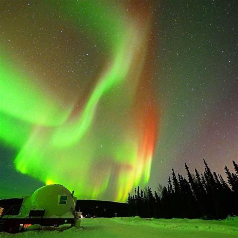 Loved the Borealis Basecamp - Alaska Tours