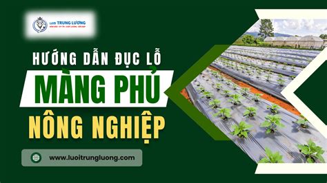 Hướng dẫn đục lỗ màng phủ nông nghiệp đúng cách năm 2024