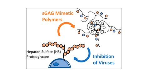 Polymers Inspired By Heparin And Heparan Sulfate For Viral Targeting