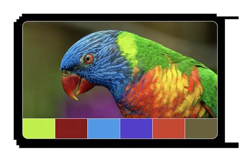 Generate color palette from your images easily for your projects