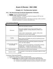 Exam Review Docx Exam Review Bsc Chapter The