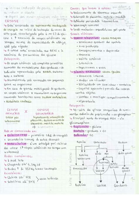 Solution Doen As Metab Licas Cl Nica De Ruminantes Studypool