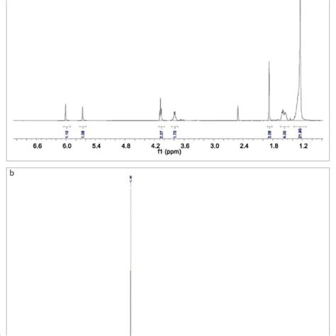 Nmr Spectra Of 15 Mpdp A 1 H Nmr Spectrum B 31 P Nmr Spectrum