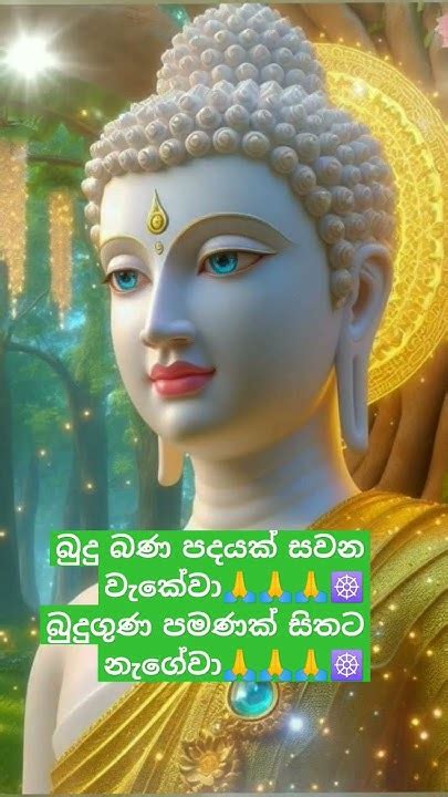 බුදුබණ පදයක් සවන වැකේවා🙏🙏🙏බුදු ගුණ පමණක් සිතට නැගේවා🙏🙏🙏☸️💕