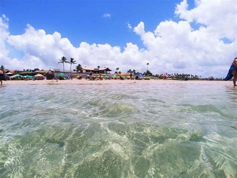 Praia Pontal Do Cupe Guia Completo Vivo Porto De Galinhas