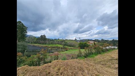 Venta De Lote En El Carmen De Viboral Antioquia Vereda Quirama YouTube