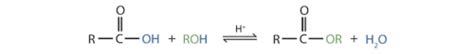 Hydrolysis and Condensation Reactions Chemistry Flashcards | Quizlet