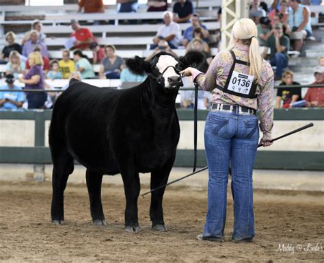 2019 Iowa State Fair Competitive Edge Genetics