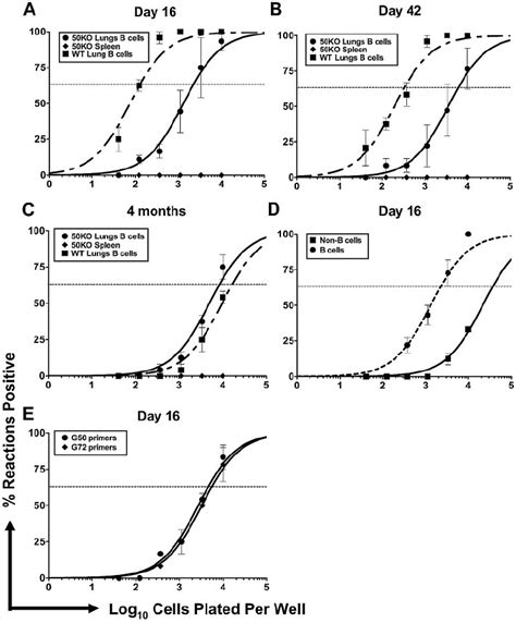 Analysis Of ␥ Hv68 Latency Following Infection With G50stop A To C