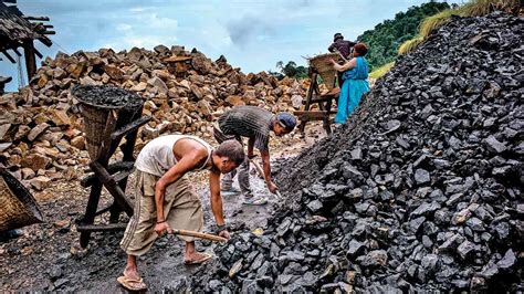 Govt Sells Of Coal India Gets Rs Crore