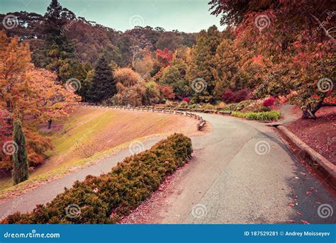 Scenic Footpath Around The Pond At Mount Lofty Stock Image Image Of