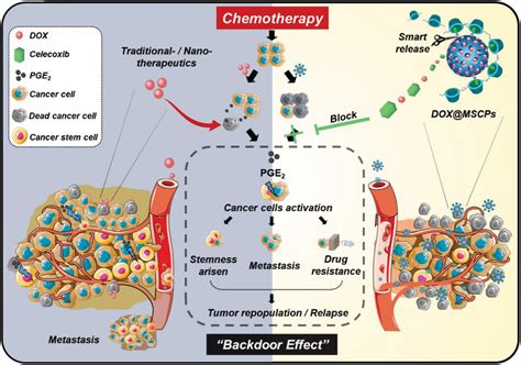 Redox‐responsive Dual Drug Delivery Nanosystem Suppresses Cancer