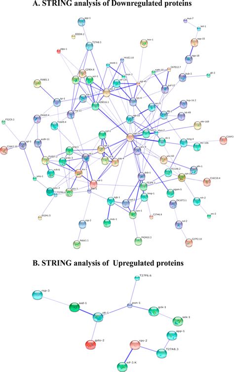 Interactome Map Using The String Tool With A Medium Confidence Score