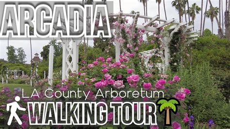 🌴 La County Arboretum And Botanic Garden Arcadia Ca Walking Tour 4k