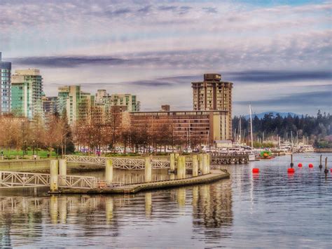 Wallpaper Trees Sea City Cityscape Lake Water Building